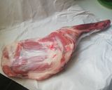 Foto del paso 1 de la receta Paletilla de cordero al horno