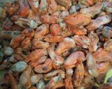 Foto langkah ke 1 dari resep Kerang kijing saos tiram pedas.