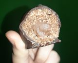 Foto del paso 5 de la receta: Bombones Quita Antojos 🍫🌰