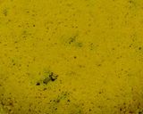 A picture of step 4 of DHOKLA in microwave.