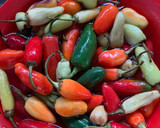 Foto del paso 1 de la receta: Salsa picante