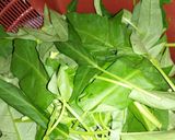 Foto langkah ke 1 dari resep Oseng kangkung (praktis).