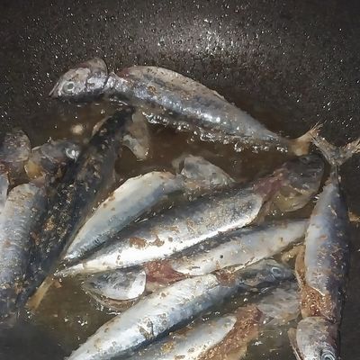 Langkah 5