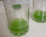 A picture of step 5 of Grapesica.