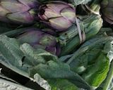 Une image de l'étape 2 de Artichaud poivrade vinaigrette cibette radis rose🥙.