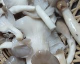 Hình bước làm 2 của món Cháo nấm, tempeh