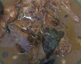 Foto langkah ke 3 dari resep Semur ayam betawi.