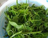Hình bước làm 1 của món Đọt su su xào tỏi thịt bò