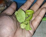 Foto langkah ke 3 dari resep Oseng gembos.