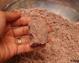 கேழ்வரகு புட்டு (Kelvaragu puttu recipe in tamil) ரெசிபி ஸ்டேப் 2 புகைப்படம்