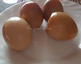 Hình bước làm 4 của món Trứng xông hơi Hàn Quốc