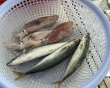 Hình bước làm 1 của món Canh Mực Nấu Mướp Húng Quế