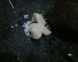 Foto langkah ke 1 dari resep Cireng Bumbu Rujak ala Rumahan.