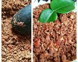 Foto langkah ke 3 dari resep Sangu/Nasi Tutug Oncom.