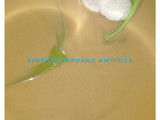 Bubur Hintalu Karuang