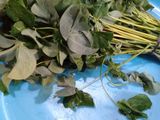 Tumis daun Ubi sederhana