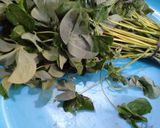 Foto langkah ke 1 dari resep Tumis daun Ubi sederhana.