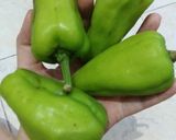 Foto langkah ke 3 dari resep Ayam Goreng Cabe Hijau.