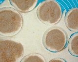 Túrós háromszög recept fázis 1 fotója
