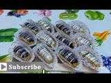 اكلير شوكولاته
