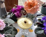 Foto del paso 2 de la receta: Mousse de mango