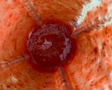 A picture of step 1 of Strawberry infused lemonade.