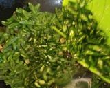 Foto langkah ke 5 dari resep Gulai tauco khas minang.