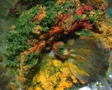 ઉંબાડિયું (Ubadiyu Recipe In Gujarati) રેસીપી સ્ટેપ2ફોટો