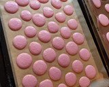 A picture of step 9 of Colorful Macarons.