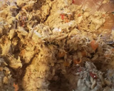 Foto del paso 4 de la receta: Croquetas de atún/Jurel sin huevo