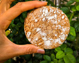 Foto del paso 5 de la receta: Galletas crujientes con crema lotus y chocolate blanco