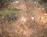 Foto del paso 1 de la receta Espirales de colores a mi carbonara