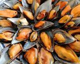 Foto del paso 5 de la receta: Mejillones con pipirrana