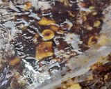 A picture of step 17 of Protein Bars / Granola Bars.