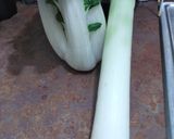 A picture of step 3 of Leek Chicken Soup.
