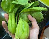 Hình bước làm 1 của món Cải thìa xào tỏi dầu hào