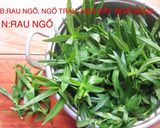 Hình bước làm 4 của món Canh Khoai Mỡ