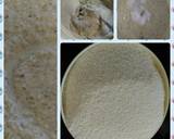 Sprouted Moong Idly recipe step 2 photo