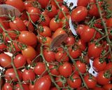 Une image de l'étape 1 de 🍹Gaspacho tomates cerises 🍒 herbes de Provence 🍃🌱🌿.