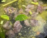 Foto langkah ke 4 dari resep Soto Daging.