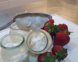 Foto del paso 4 de la receta: Yogurt griego casero bien cremoso