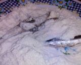 Foto del paso 3 de la receta: Parrochas adobadas (sardinillas)