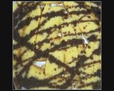 A picture of step 3 of Layered Ice cream Cake #sahdessert.