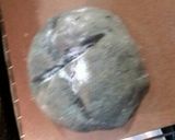 Foto del paso 4 de la receta: Pan de semillas de chía
