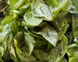 Foto del paso 1 de la receta: Pesto de albahaca