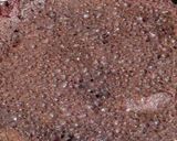 A picture of step 3 of Buckwheat Chilla.