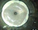 Foto del paso 10 de la receta: Crema de champiñones con crotones