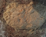 Foto del paso 4 de la receta: Pan de naranja