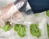 Foto langkah ke 4 dari resep Es Jelly Cocopandan Milk.