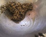 A picture of step 5 of Til patti.